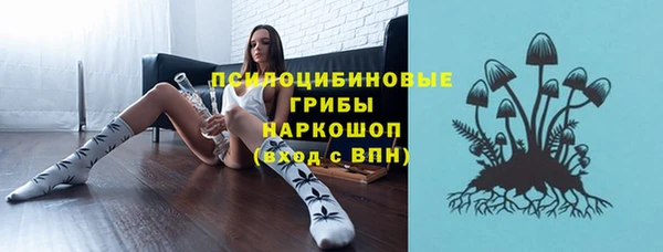каннабис Алексеевка
