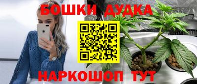 прущие грибы Жуковский