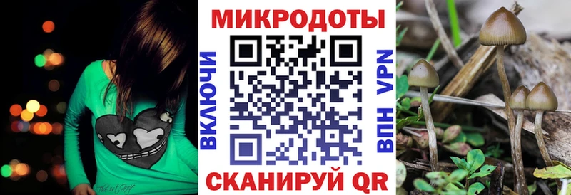 дарк нет какой сайт Михайловск Псилоцибиновые грибы Magic Shrooms