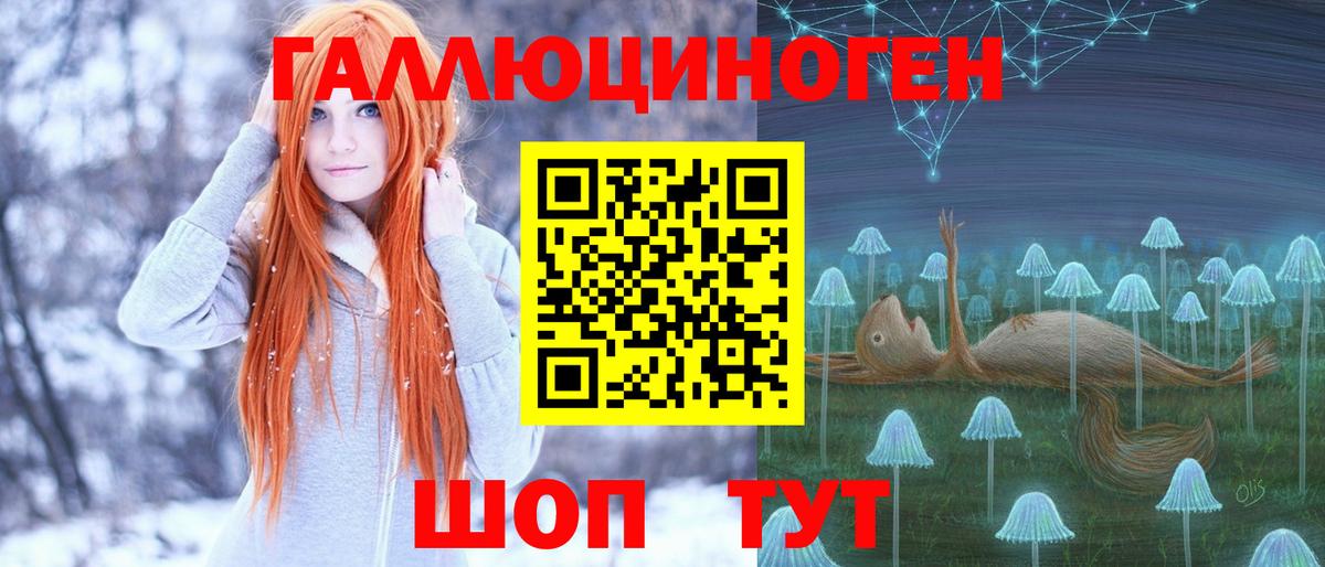 купить наркотики сайты  Галлюциногенные грибы Psilocybine cubensis  Вход с VPN  Галлюциногенные грибы мицелий  Михайловск 