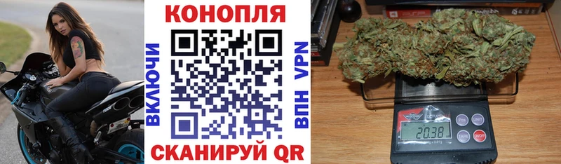 Бошки Шишки сатива  наркошоп  Михайловск 